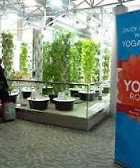 YogaRoom