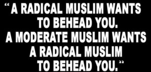 radical-vs-moderate-muslim
