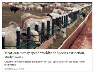 meat-extinction-of-species